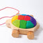 Regenbogen Schildkröte