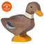 Holztiger Ente